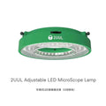  LED Lamp green